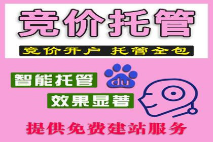 提升转化率：SEM推广优化的实战案例